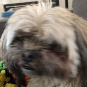 Meet your Posher, Derrick